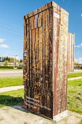 Nadine Manuel artwork on utility box