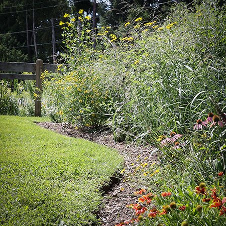 Flowers at Shelagh Law Parkette