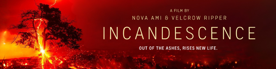 A film called Incandescence promo image