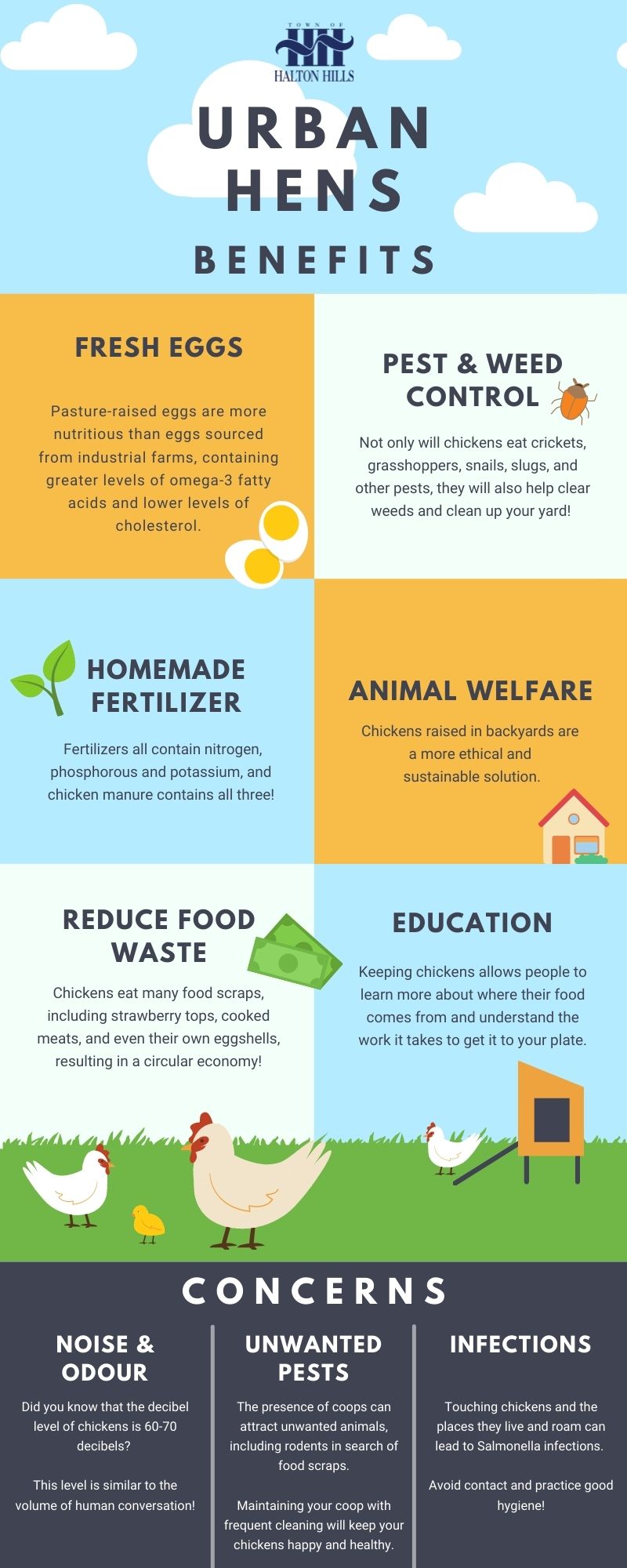 Backyard Chickens Benefits Infographic