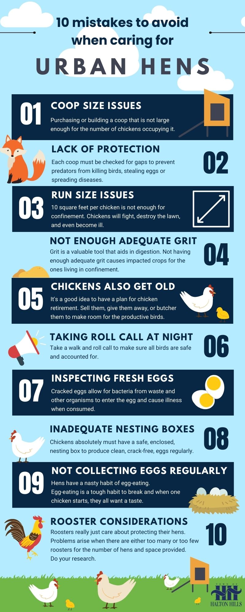 10 mistakes to avoid when caring for Urban Hens