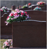 lot or plot interment option