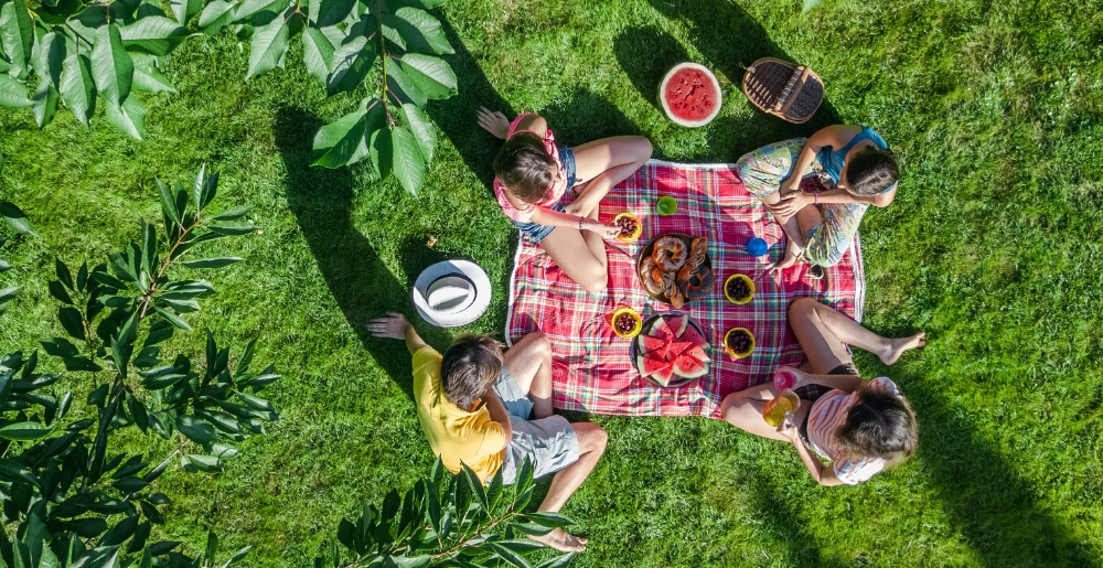 Family of four having a picnic under a tree - view from above