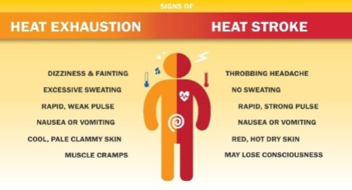 A stick figure of a man showing the differences between Heat Exhaustion and Heat Stroke