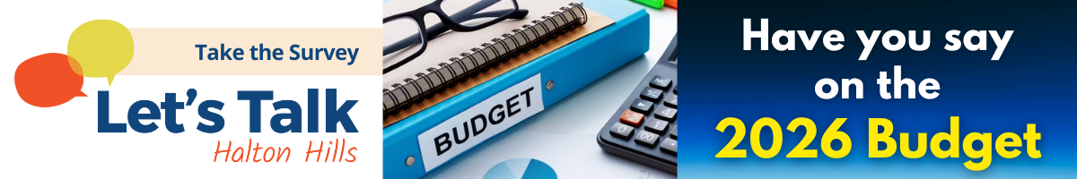 Let's Talk 2026 Budget Survey