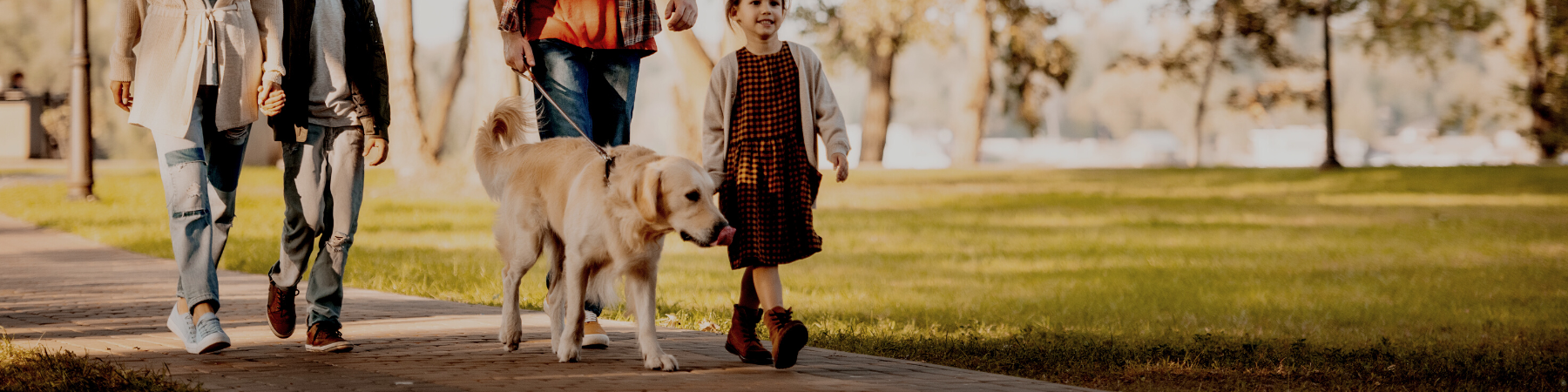 Family walking their dog