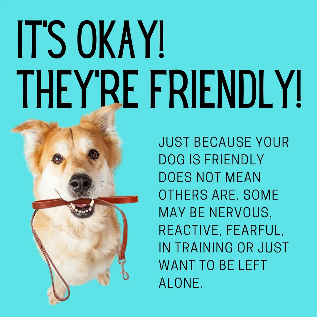 K9Friendly K9Friendly