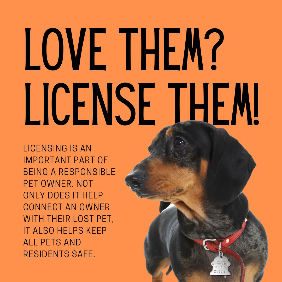 K9Licensed K9Licensed