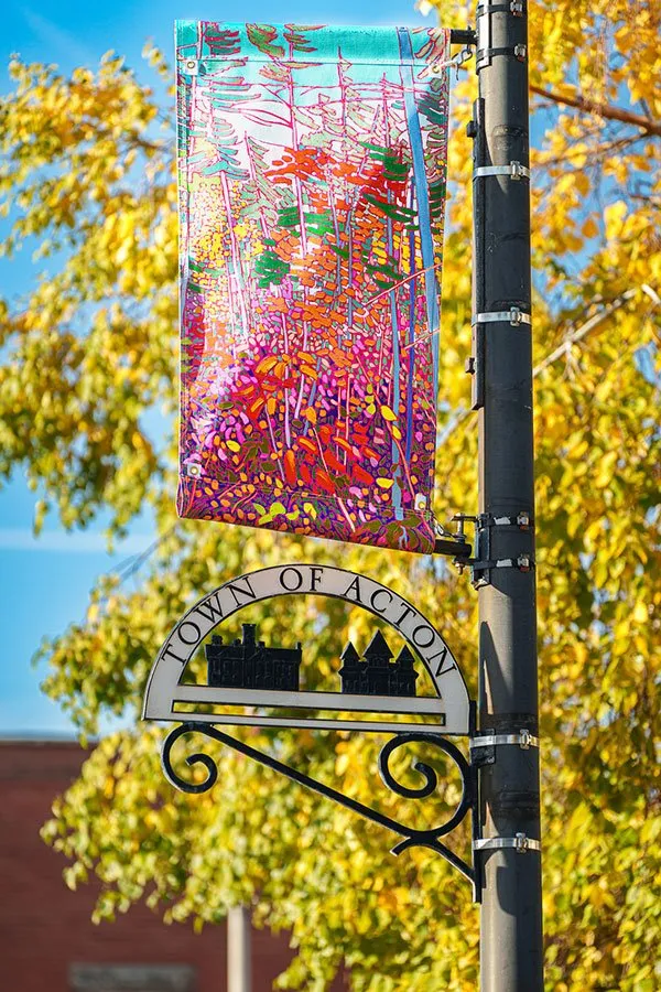 PublicArt-Page-Newman