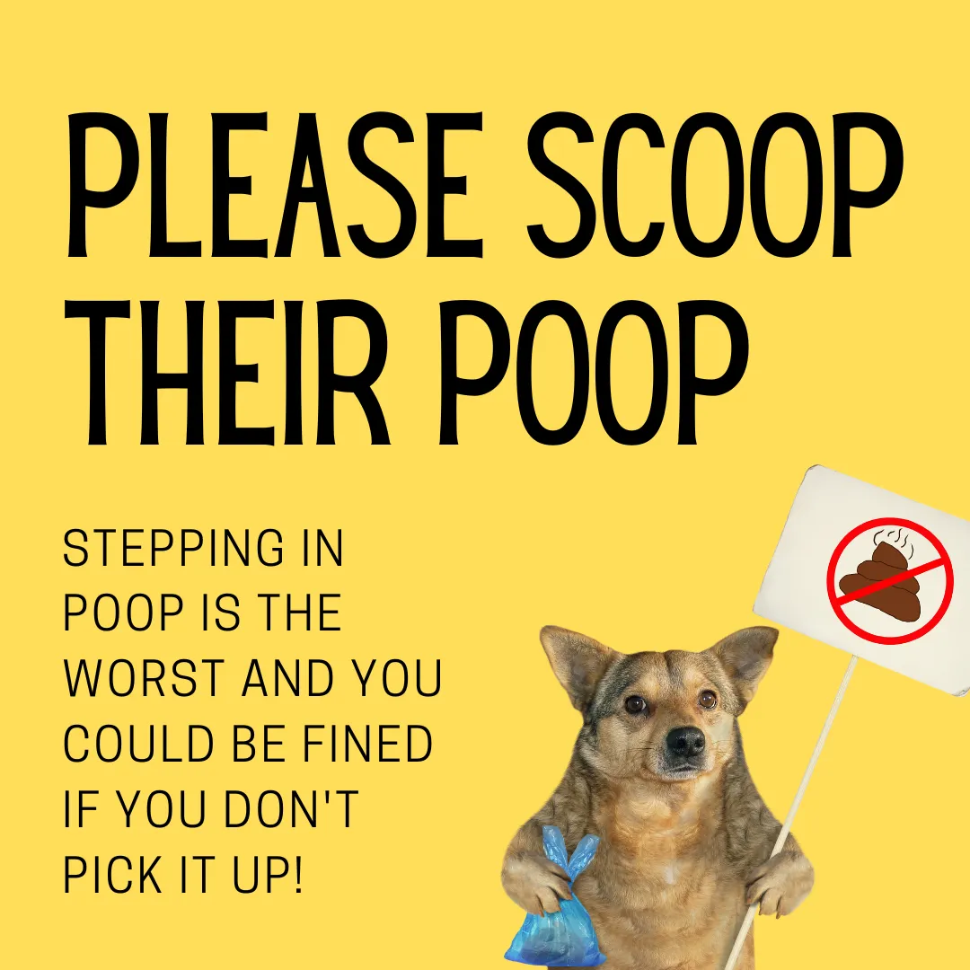 K9Poop K9Poop