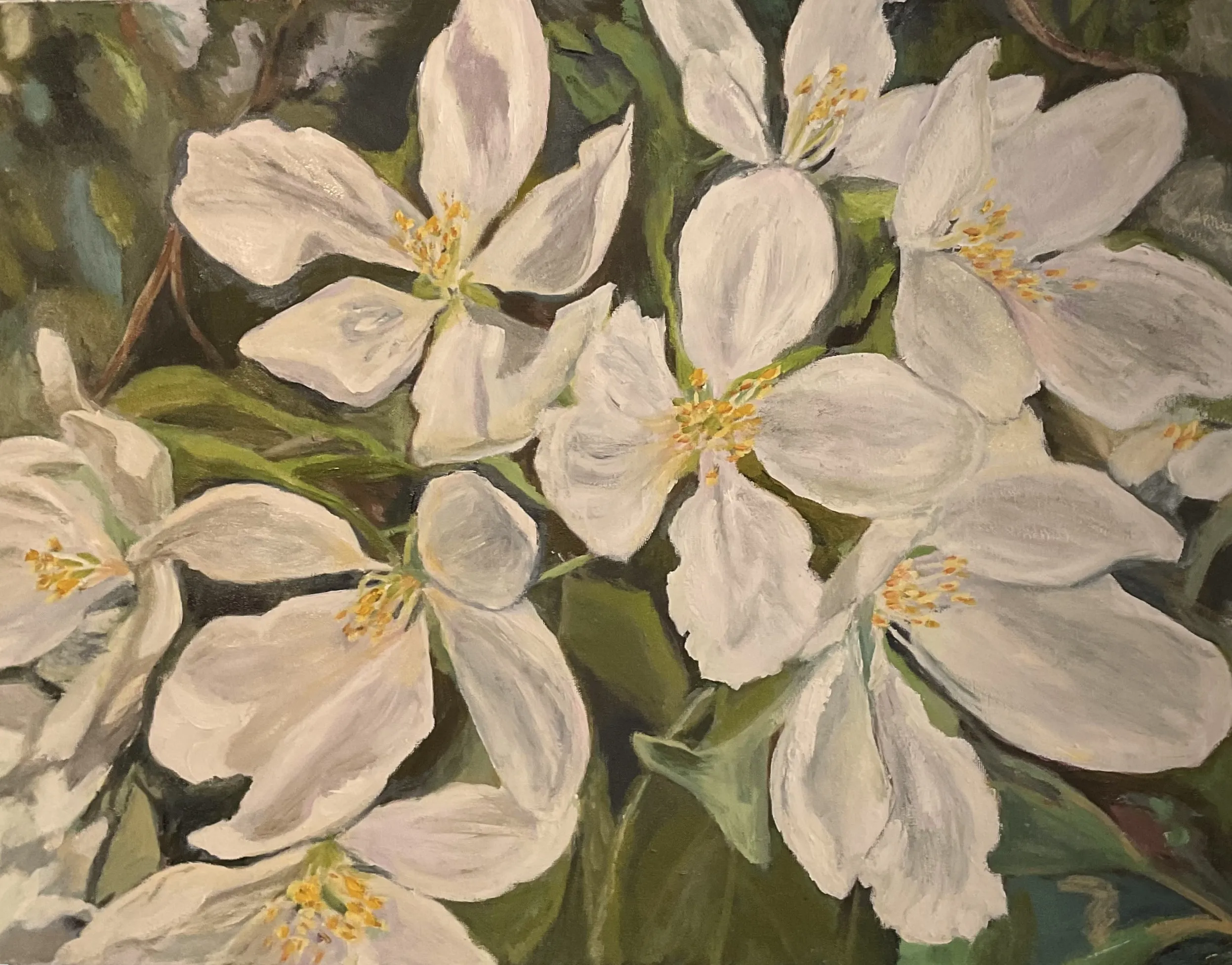 Gallery Image - Apple Blossoms